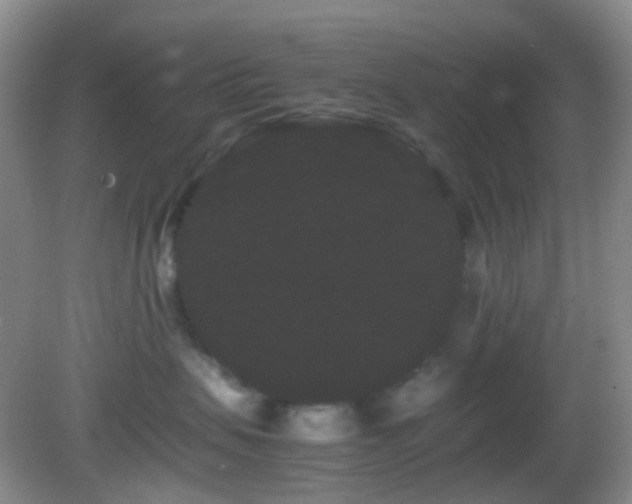 X0000082940479200702011310