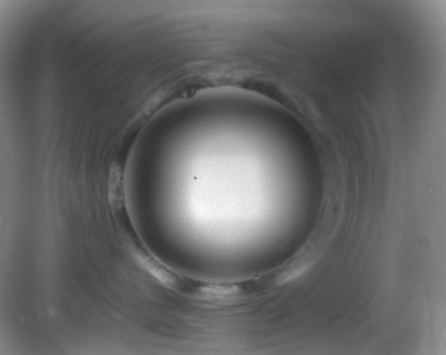 X0000082940480200702011310