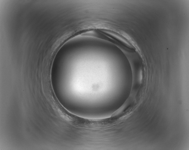 X0000082940481200702011310