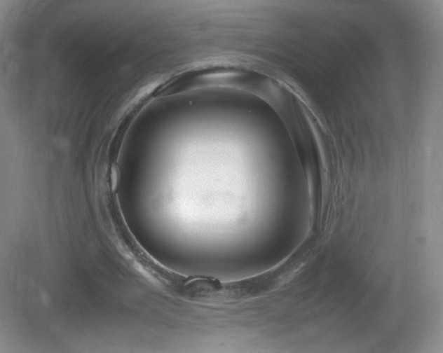 X0000082940485200702011309