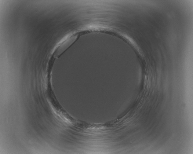 X0000082940488200702011309