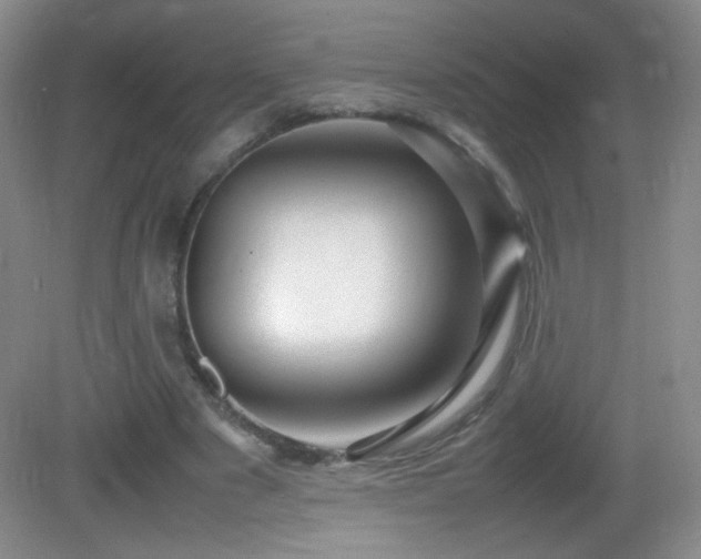X0000082940489200702011309