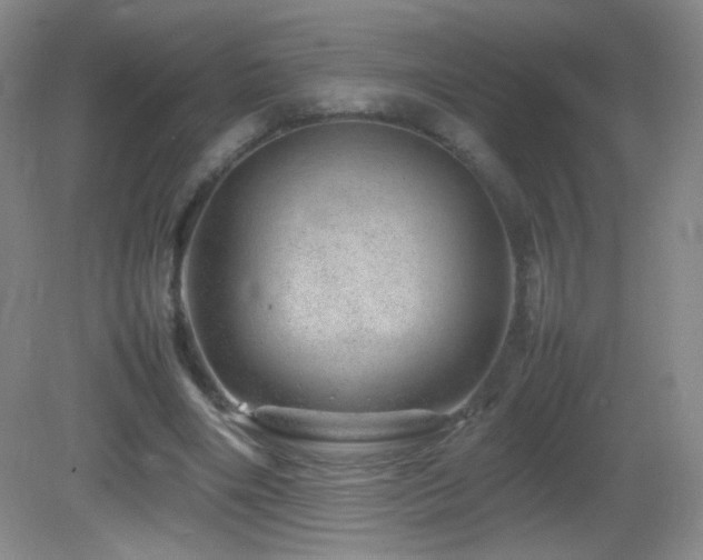 X0000082940490200702011309