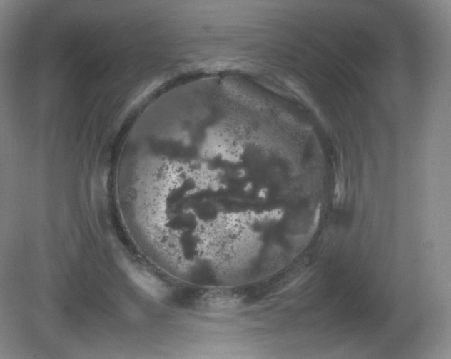 X0000082940491200702011309