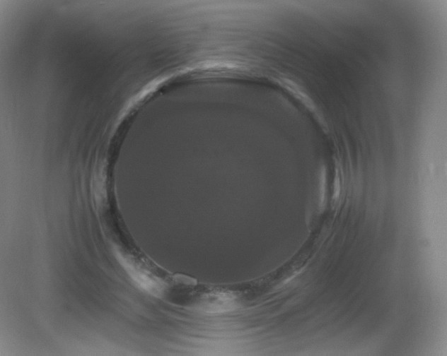 X0000082940492200702011309