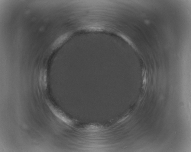 X0000082940494200702011309