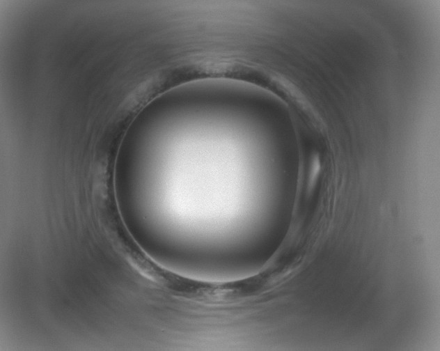 X0000082940497200702011309