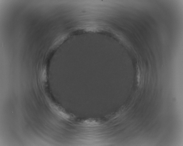 X0000082940502200702011309