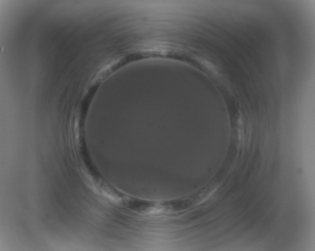 X0000082940504200702011309