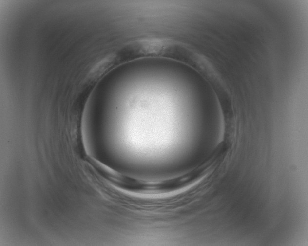 X0000082940505200702011309