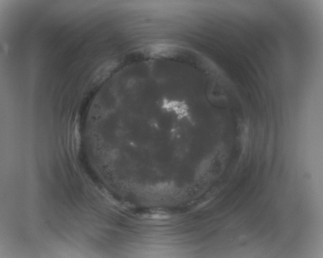 X0000082940506200702011309