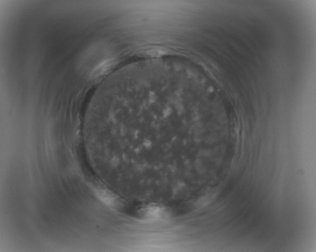 X0000082940507200702011309