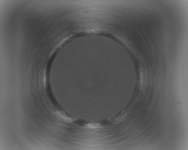 X0000082940508200702011309