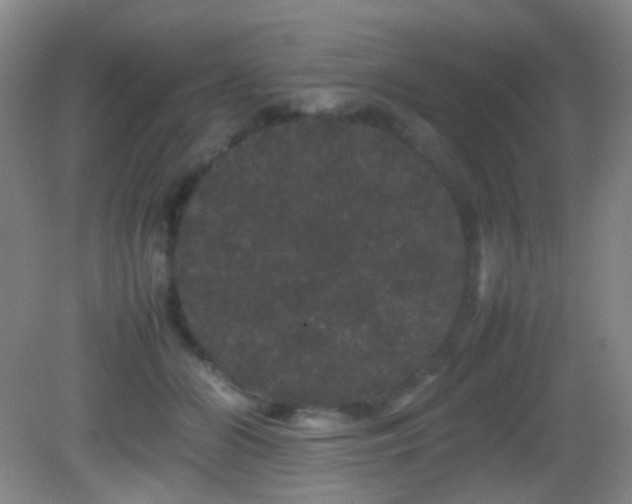 X0000082940510200702011309