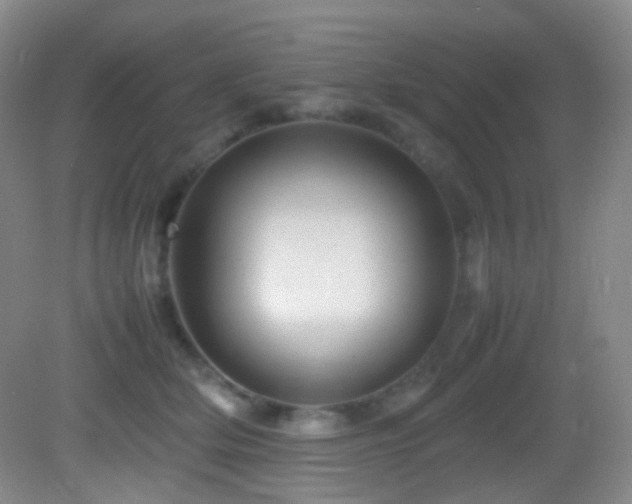 X0000082940514200702011309
