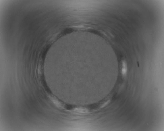 X0000082940515200702011309