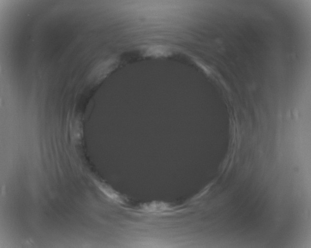 X0000082940517200702011309