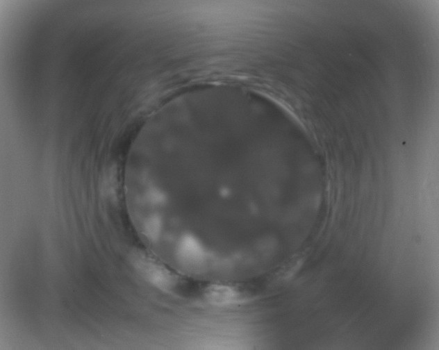 X0000082940519200702011309