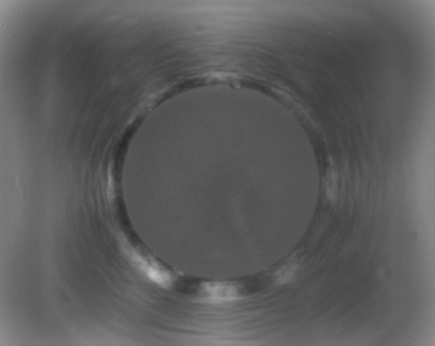 X0000082940520200702011309