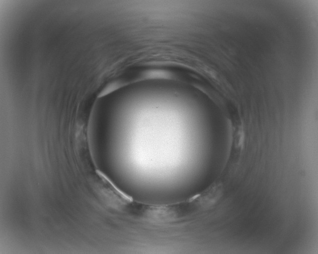 X0000082940521200702011309