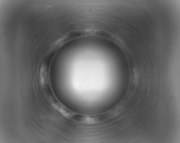 X0000082940522200702011309