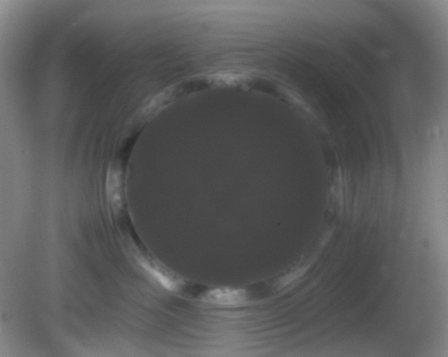 X0000082940526200702011309