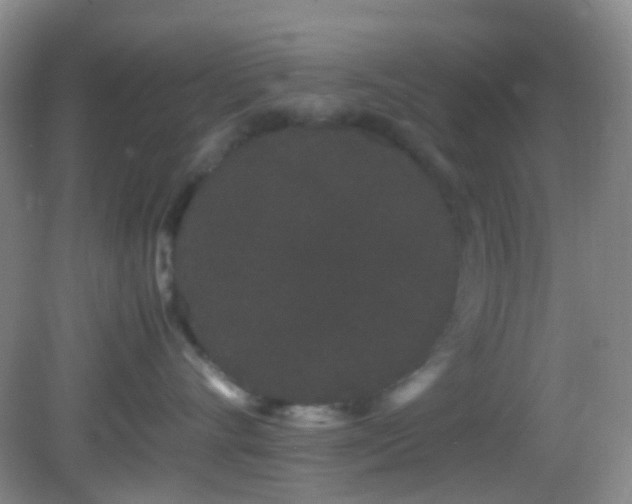 X0000082940528200702011309