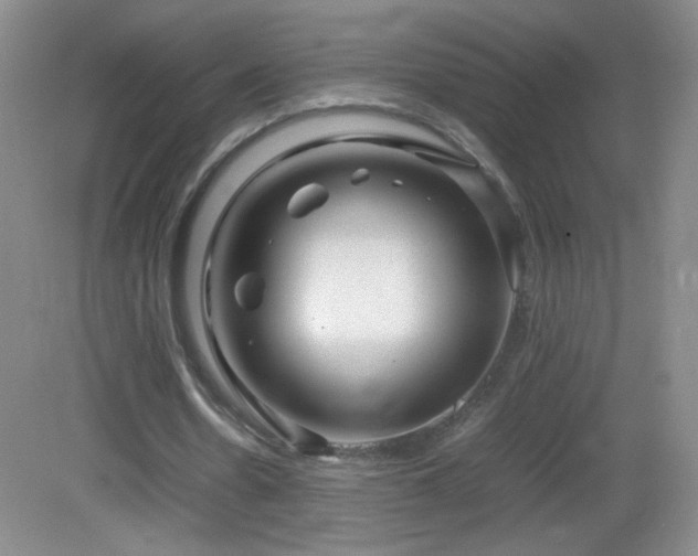 X0000082940530200702011308