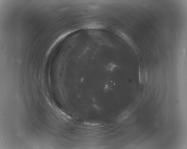 X0000082940531200702011308