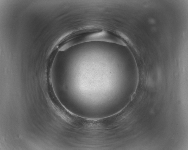 X0000082940535200702011308