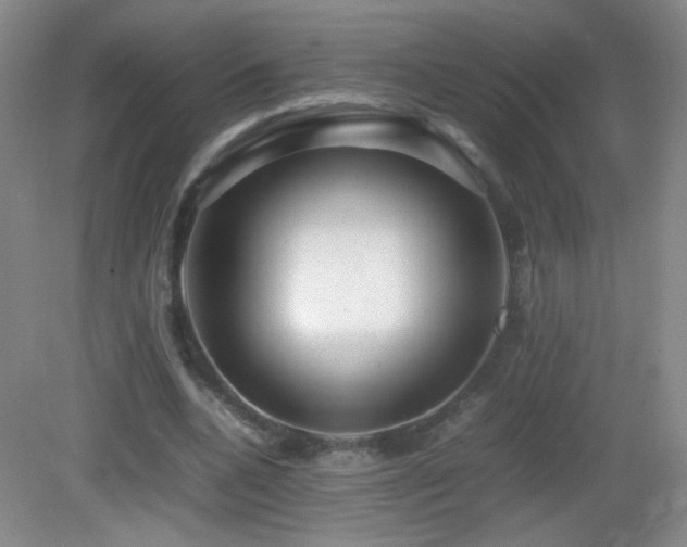 X0000082940536200702011308