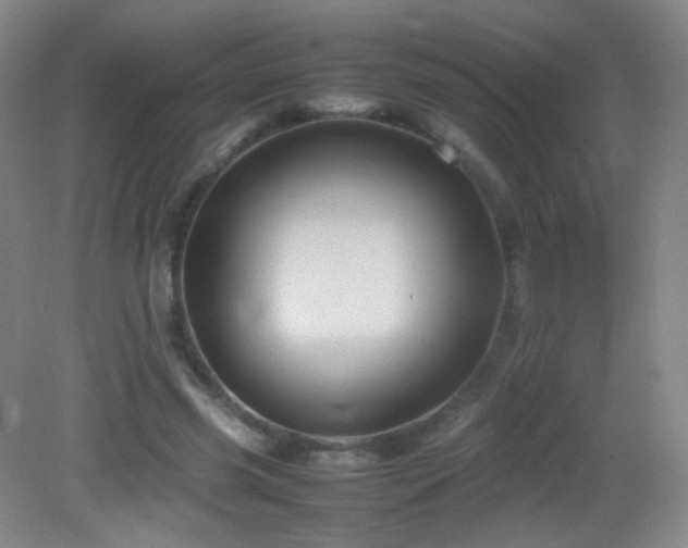 X0000082940541200702011308
