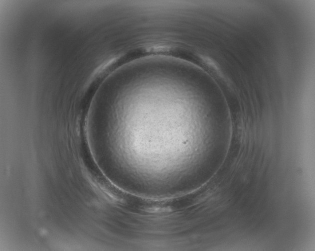 X0000082940543200702011308