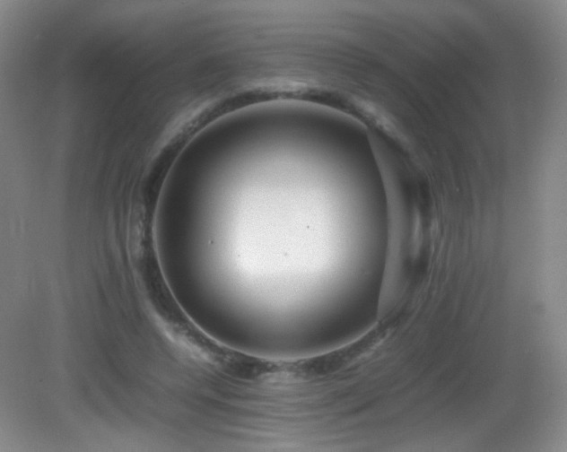 X0000082940544200702011308