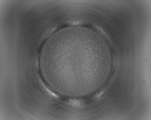 X0000082940545200702011308