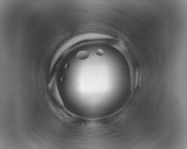 X0000082940546200702011308