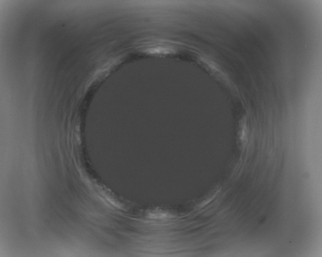 X0000082940547200702011308