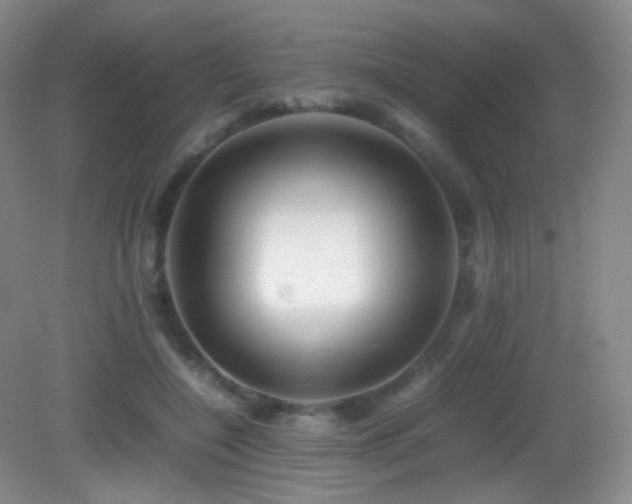 X0000082940548200702011308