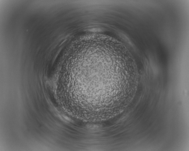 X0000082940549200702011308