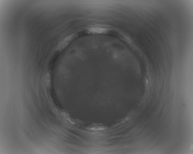 X0000082940551200702011308