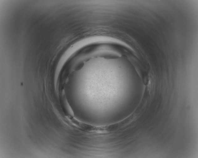 X0000082940552200702011308