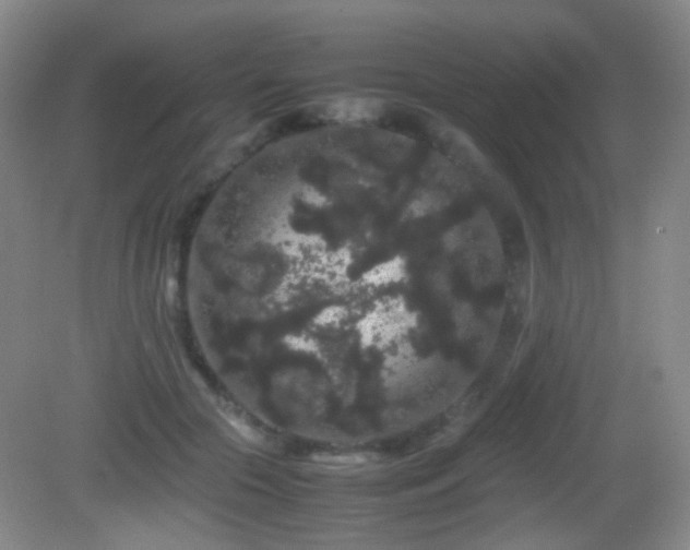 X0000082940553200702011308