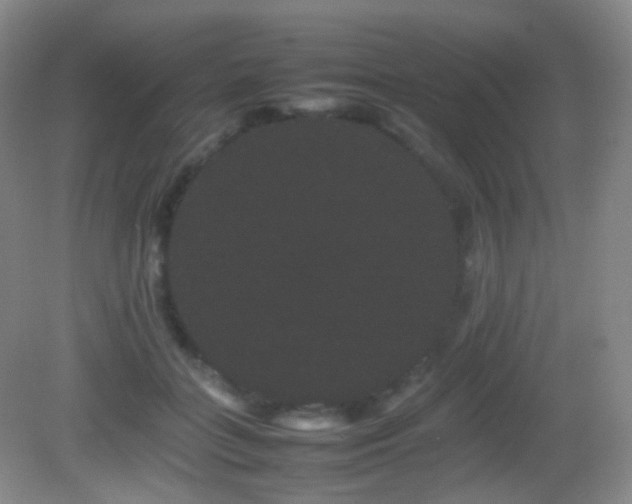 X0000082940555200702011308