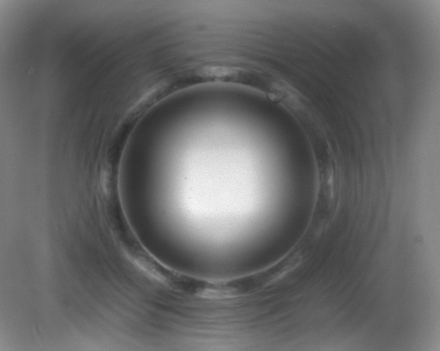X0000082940556200702011308