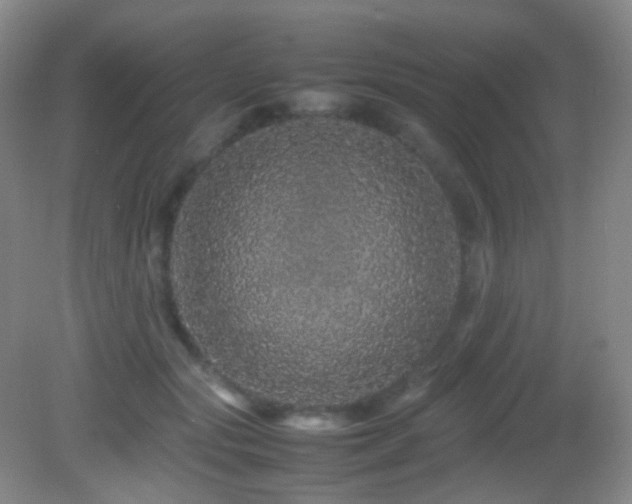 X0000082940557200702011308