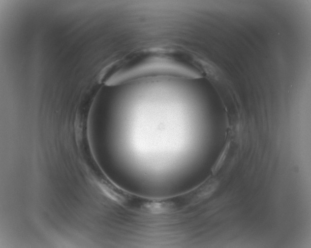 X0000082940558200702011308