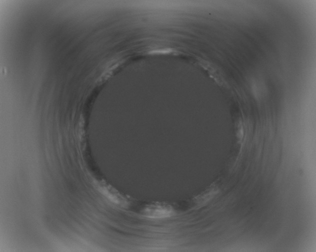 X0000082940559200702011308