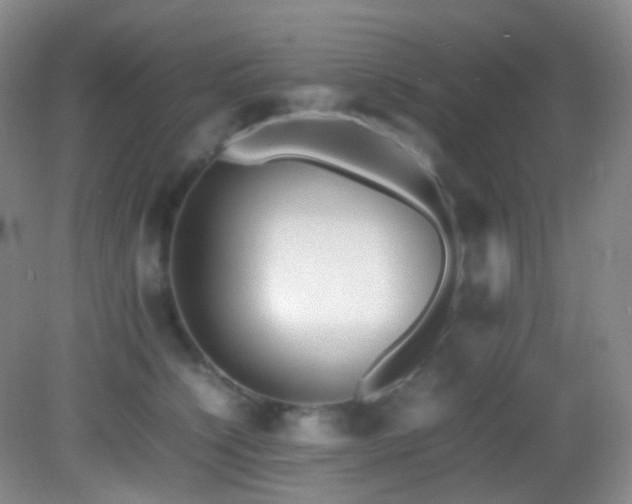 X0000082940564200702011308