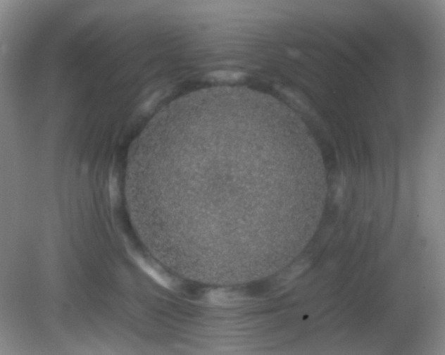 X0000082940568200702011309