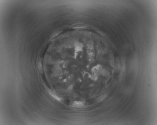 X0000082940573200702011309